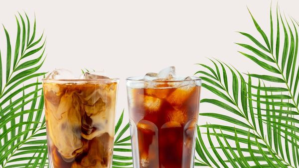 Two iced coffees framed by palm fronds